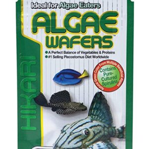 Hikari Tropical Algae Wafers 20g